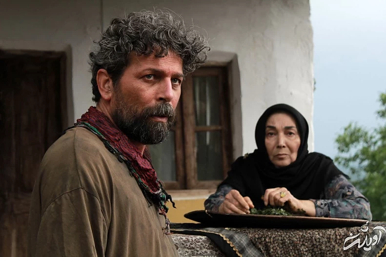 در کنار پروانه ها (2)